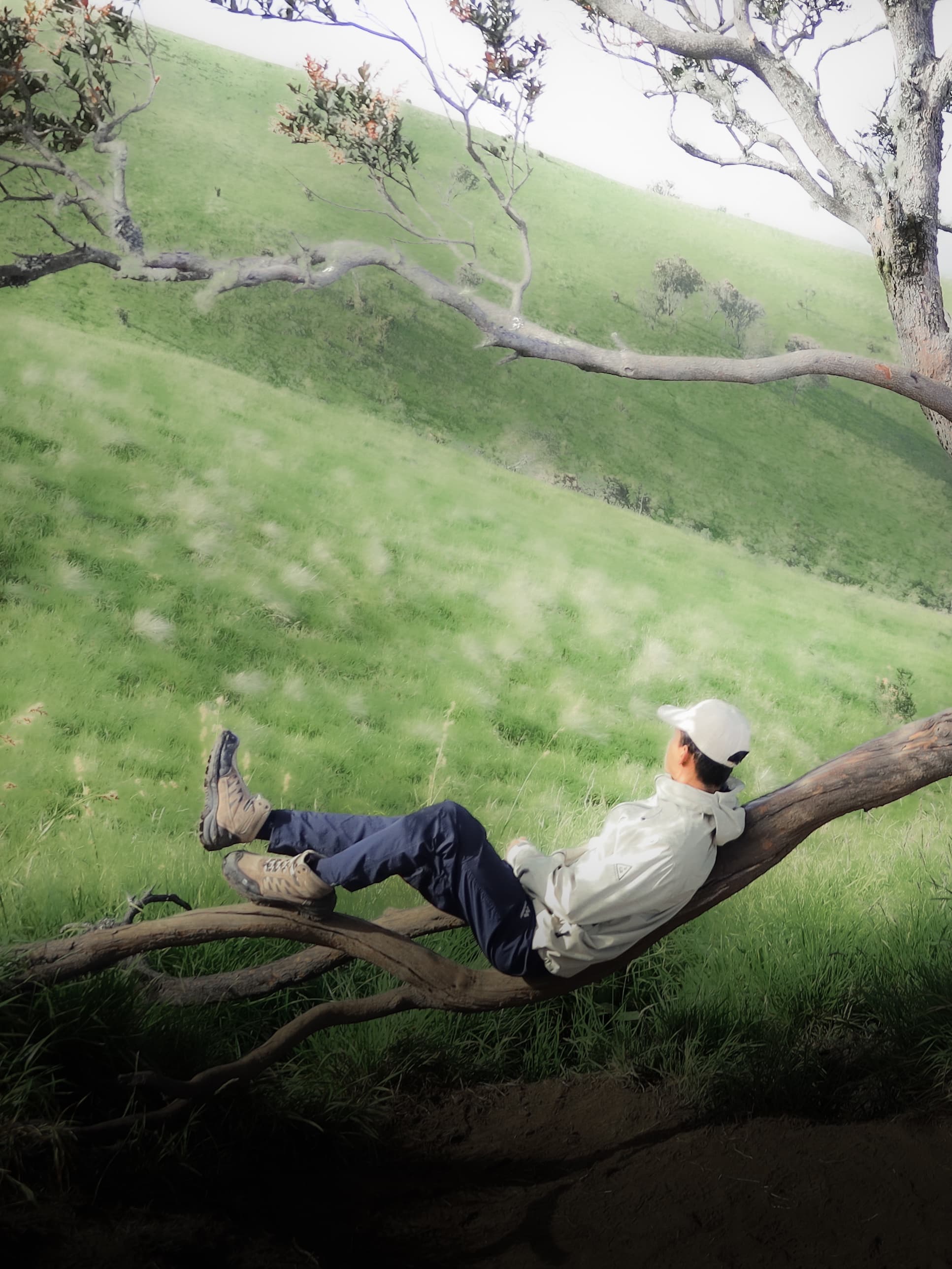 Mountain Climber