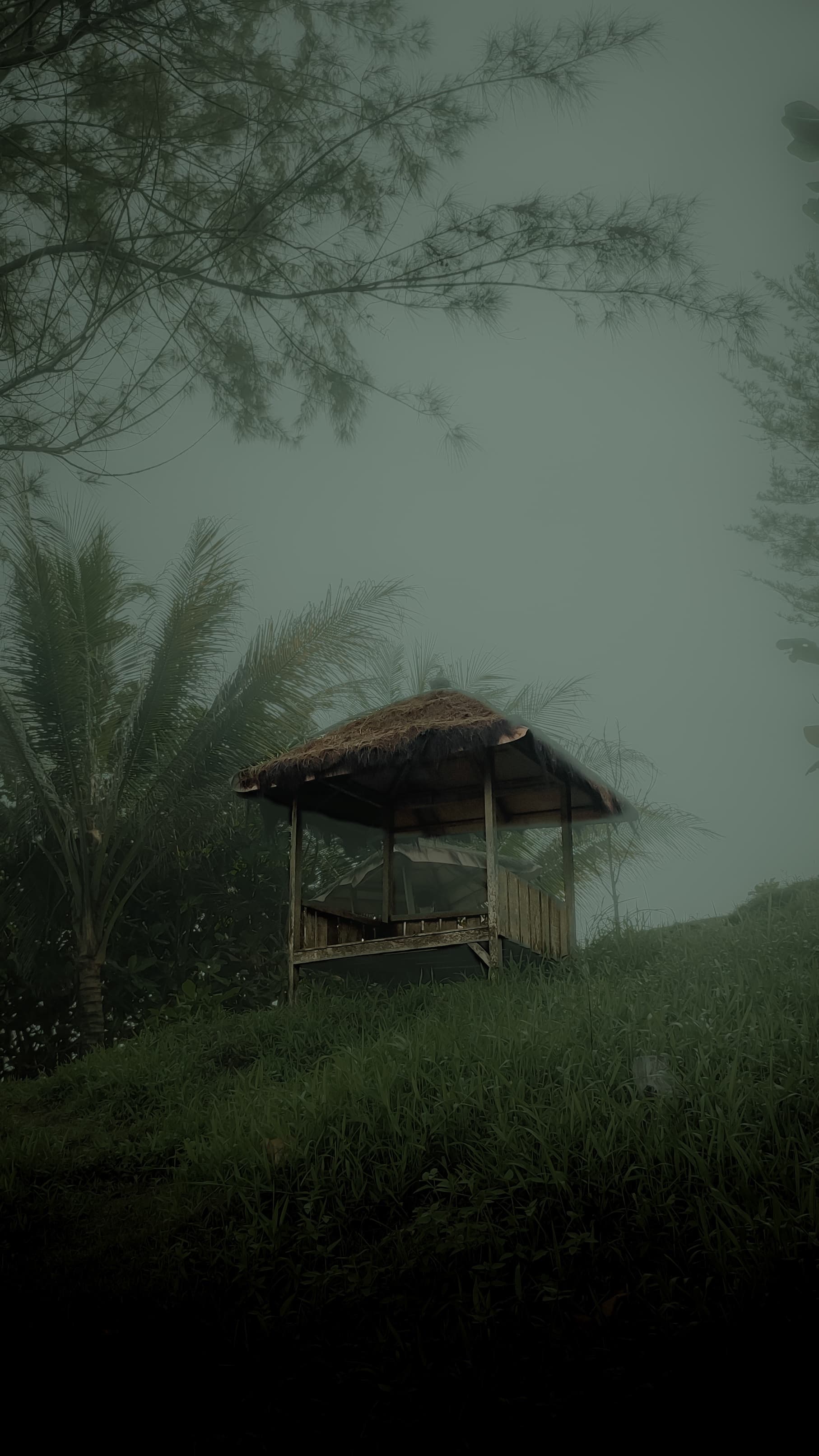 Hut on the seaside