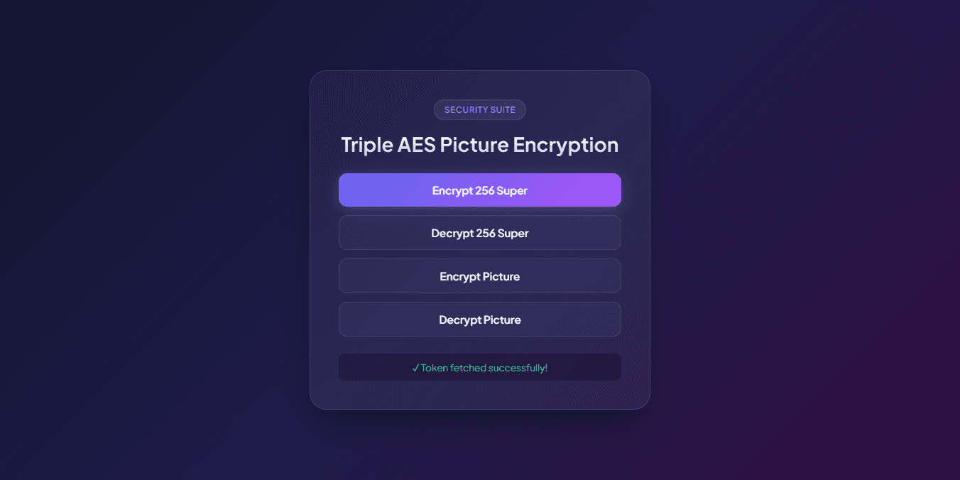 Triple AES Picture Encryption